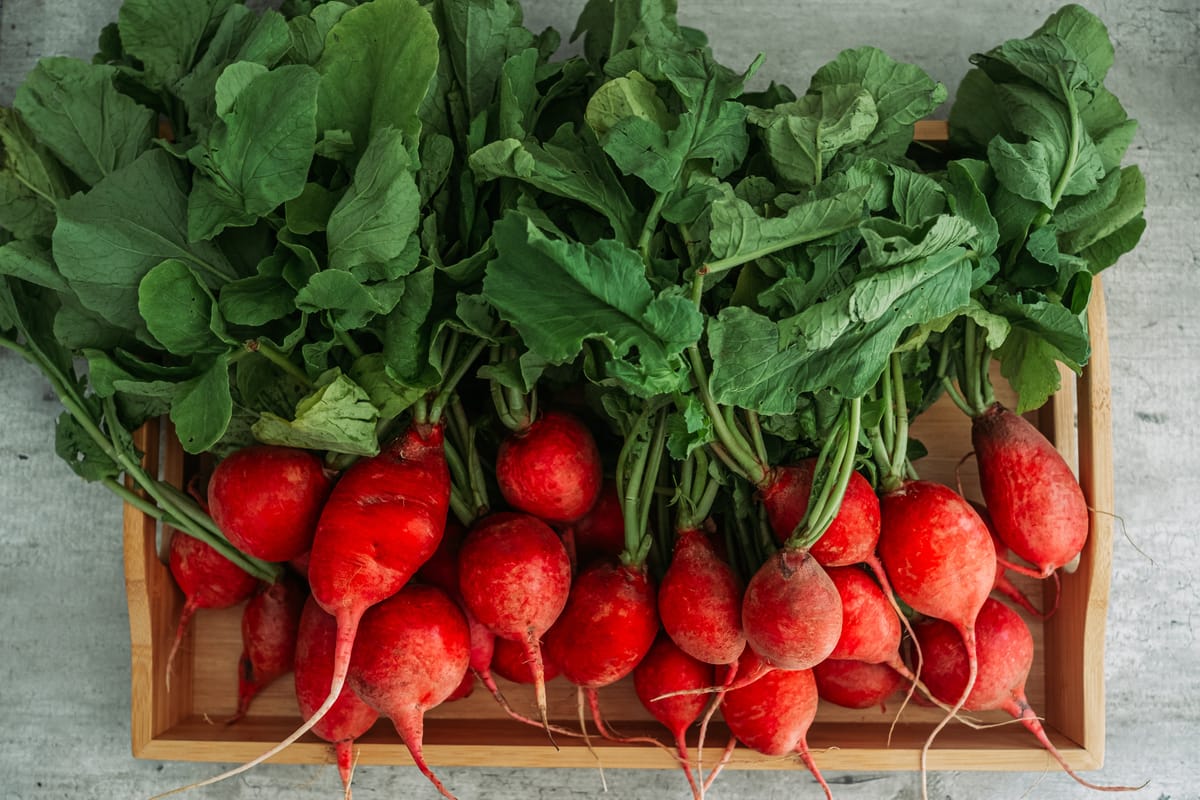 Turnip root/Radish Hash