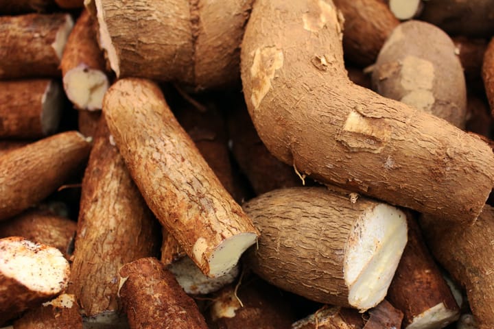 Cassava (Yucca) Root Fries